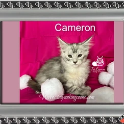 Cameron 3 3e0472 247718988a6c43a3a3f4b68cff32c33e mv2