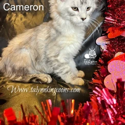 Cameron 2 3e0472 4c73556776de44e28bfaf2d1c153be00 mv2