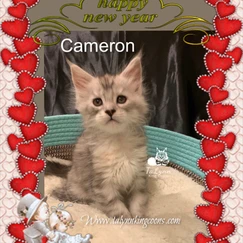Cameron 6 3e0472 5126e1e4c8ea4c4eb38623758143a1d5 mv2