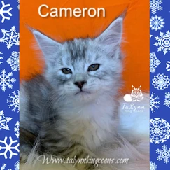 Cameron 4 3e0472 92a8dd96cb414cfa8da6620dd9cce56c mv2