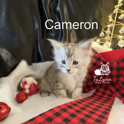 Cameron 7 3e0472 bdf3d5443011499cad1fa8a4e41c3e0c mv2
